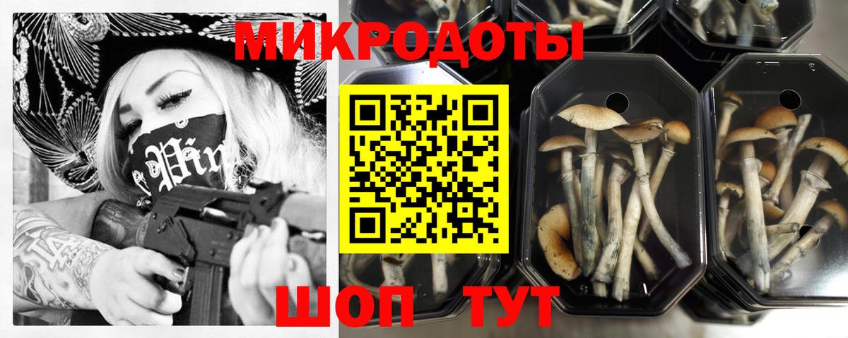 Красногорск  Галлюциногенные грибы GOLDEN TEACHER  Вход с VPN  Галлюциногенные грибы Magic Shrooms 