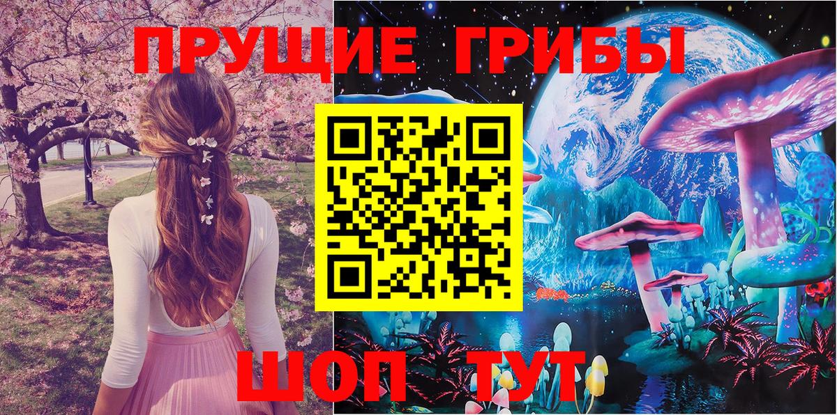 Галлюциногенные грибы GOLDEN TEACHER Красногорск